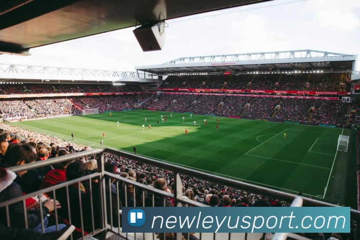 乐鱼体育服务体系